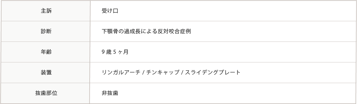 主訴～抜粋部位までの表