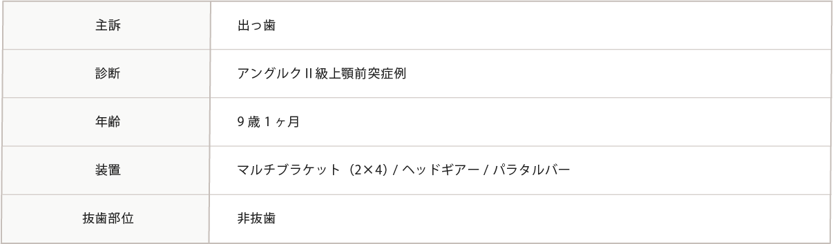 主訴～抜粋部位までの表