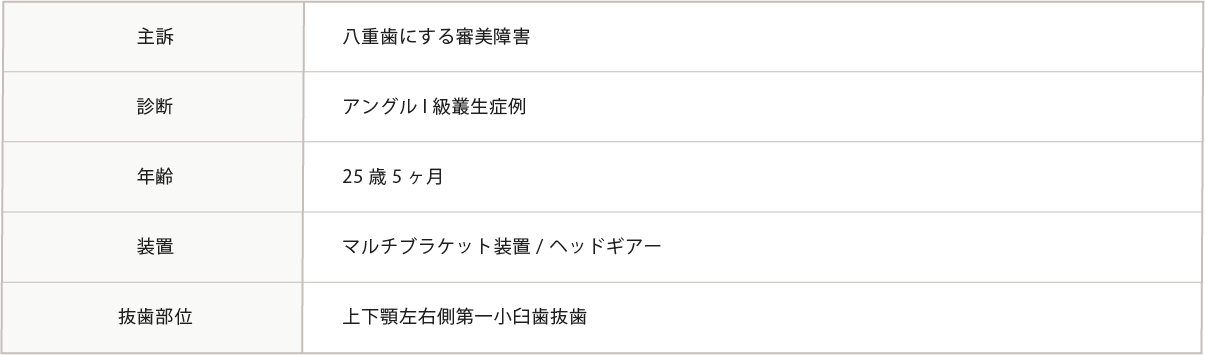 主訴～抜粋部位までの表